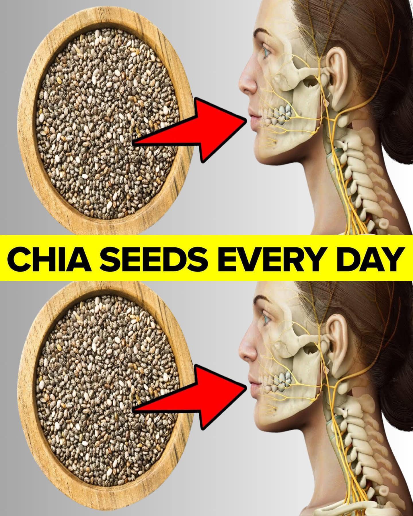 What Happens To Your Body When You Eat Chia Seeds Every Day